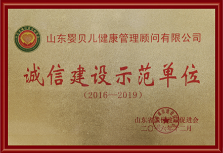 公司荣誉